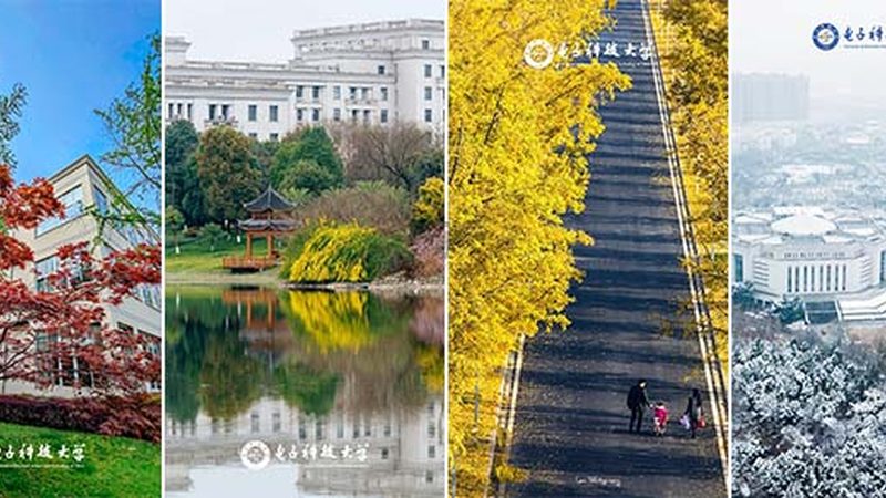 车载电子改装：如何挑选合适的品牌与型号**